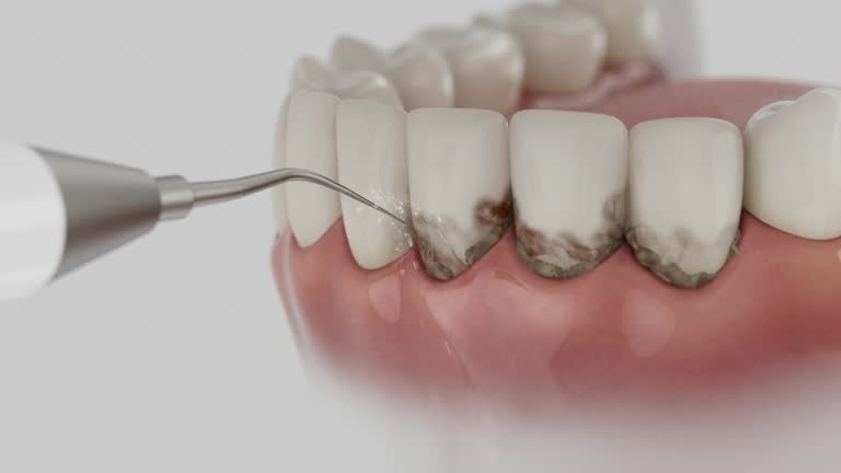 Reliable Dental contractor in Eatonville, FL by Dentist Open Now
